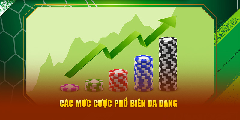 Các mức cược phổ biến đa dạng 