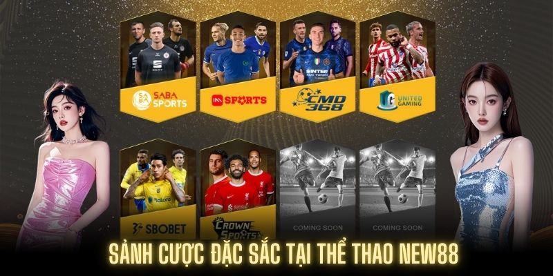 CMD của Thể thao NEW88 nhận nhiều sự yêu thích của khách hàng