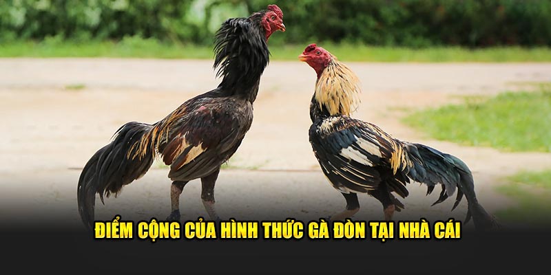 Điểm cộng của hình thức gà đòn tại nhà cái