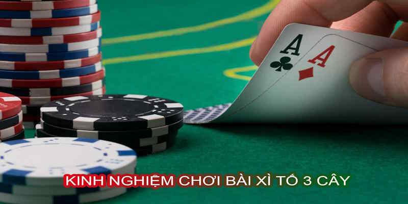 Chơi xì tố 3 cây cần áp dụng giữa kinh nghiệm và chiến thuật